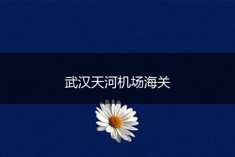 武汉天河机场海关