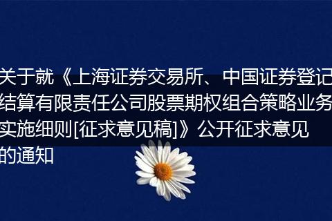 关于就《上海证券交易所、中国证券登记结算有限责任公司股票期权组合策略业务实施细则[征求意见稿]》公开征求意见的通知