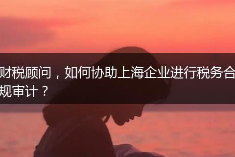 财税顾问，如何协助上海企业进行税务合规审计？