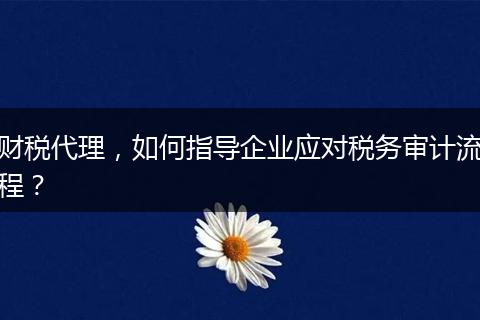 财税代理，如何指导企业应对税务审计流程？