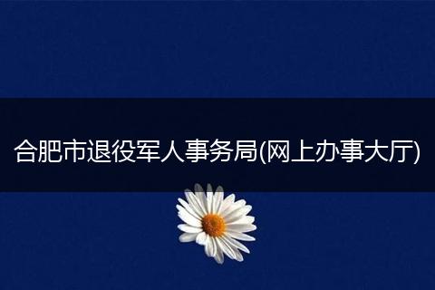 合肥市退役军人事务局(网上办事大厅)