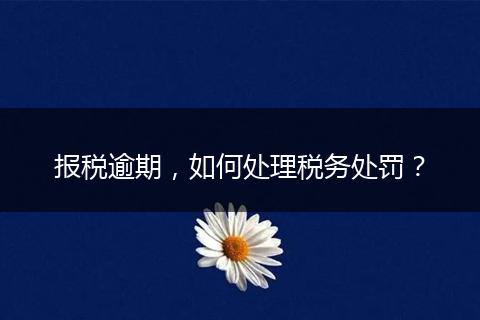 报税逾期，如何处理税务处罚？
