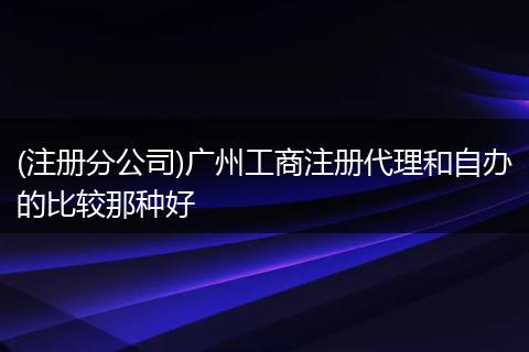 (注册分公司)广州工商注册代理和自办的比较那种好