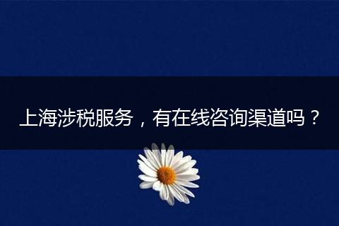 上海涉税服务，有在线咨询渠道吗？