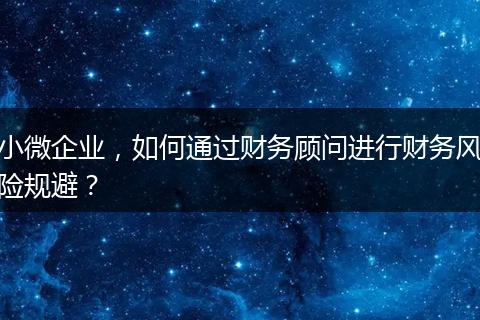 小微企业，如何通过财务顾问进行财务风险规避？