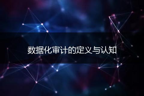数据化审计的定义与认知