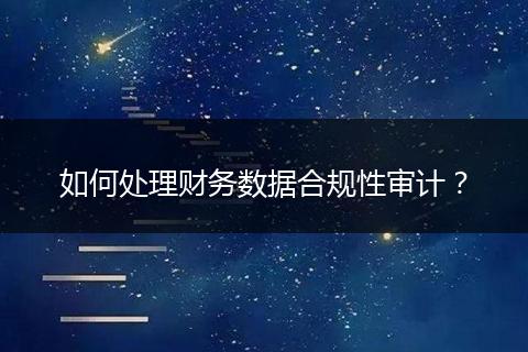 如何处理财务数据合规性审计？