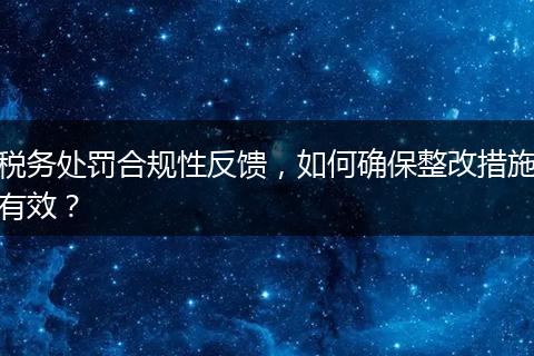 税务处罚合规性反馈，如何确保整改措施有效？