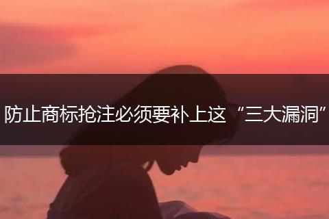 防止商标抢注必须要补上这“三大漏洞”