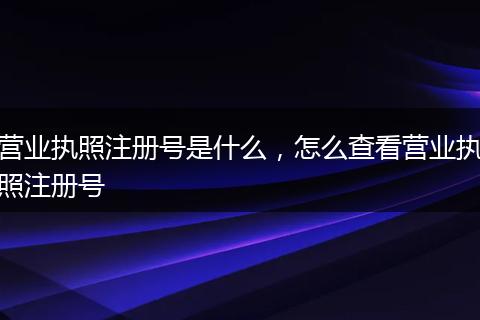 营业执照注册号是什么,怎么查看营业执照注册号