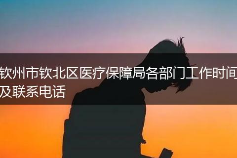 钦州市钦北区医疗保障局各部门工作时间及联系电话