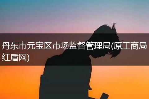 丹东市元宝区市场监督管理局(原工商局红盾网)