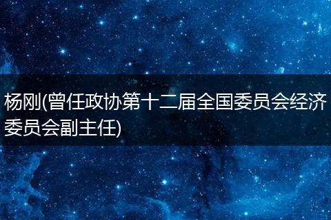 杨刚(曾任政协第十二届全国委员会经济委员会副主任)