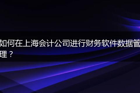 如何在上海会计公司进行财务软件数据管理？