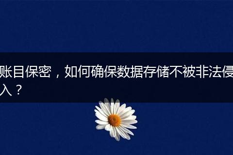 账目保密，如何确保数据存储不被非法侵入？