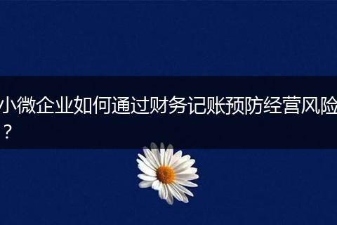 小微企业如何通过财务记账预防经营风险？
