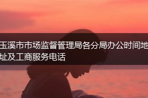 玉溪市市场监督管理局各分局办公时间地址及工商服务电话
