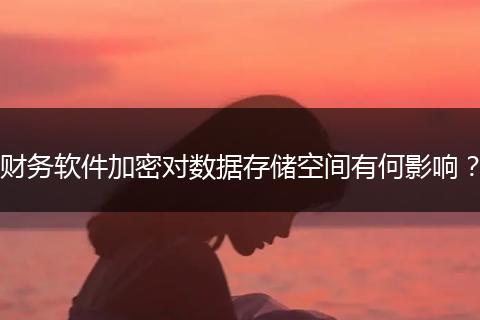 财务软件加密对数据存储空间有何影响？