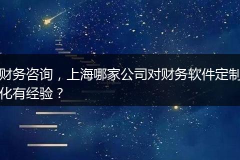 财务咨询，上海哪家公司对财务软件定制化有经验？