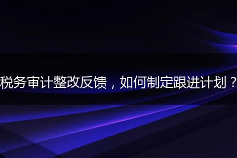 税务审计整改反馈，如何制定跟进计划？