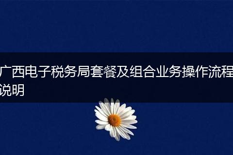 广西电子税务局套餐及组合业务操作流程说明