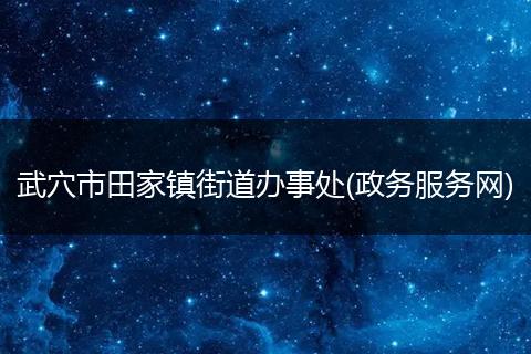 武穴市田家镇街道办事处(政务服务网)