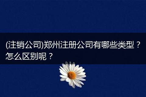 (注销公司)郑州注册公司有哪些类型？怎么区别呢？