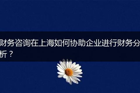 财务咨询在上海如何协助企业进行财务分析？
