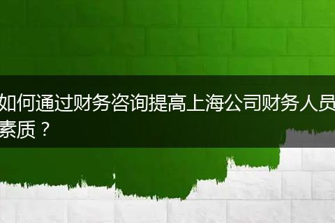 如何通过财务咨询提高上海公司财务人员素质？