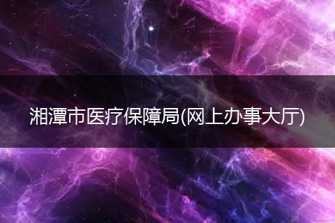 湘潭市医疗保障局(网上办事大厅)
