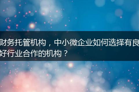 财务托管机构，中小微企业如何选择有良好行业合作的机构？