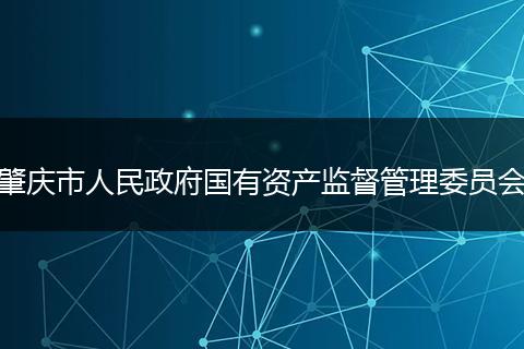 肇庆市人民政府国有资产监督管理委员会