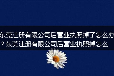 东莞注册有限公司后营业执照掉了怎么办?东莞注册有限公司后营业执照掉怎么
