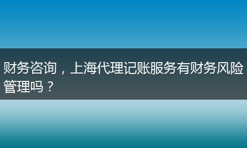财务咨询，上海代理记账服务有财务风险管理吗？