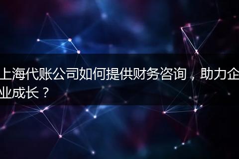 上海代账公司如何提供财务咨询，助力企业成长？