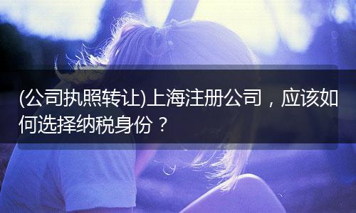 (公司执照转让)上海注册公司,应该如何选择纳税身份?