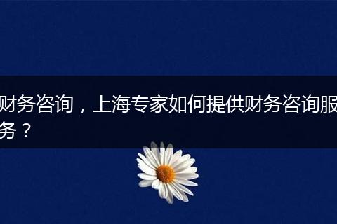 财务咨询，上海专家如何提供财务咨询服务？