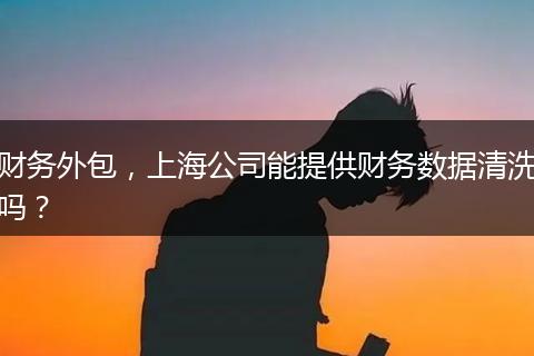 财务外包，上海公司能提供财务数据清洗吗？