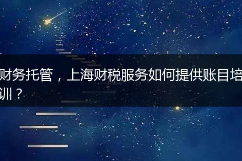 财务托管，上海财税服务如何提供账目培训？