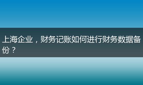 上海企业，财务记账如何进行财务数据备份？