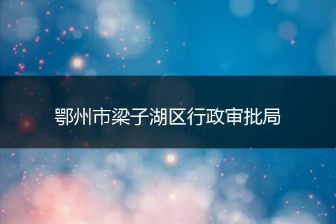 鄂州市梁子湖区行政审批局
