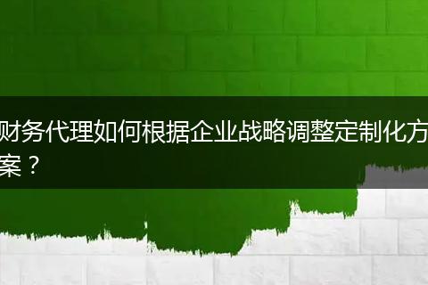 财务代理如何根据企业战略调整定制化方案？