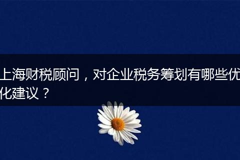 上海财税顾问，对企业税务筹划有哪些优化建议？