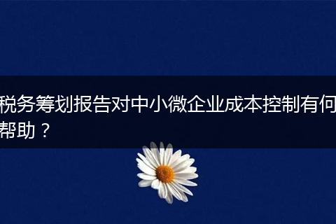 税务筹划报告对中小微企业成本控制有何帮助？