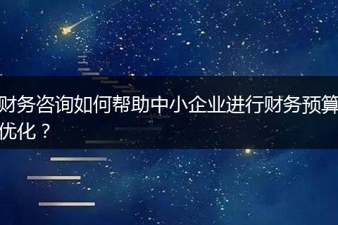 财务咨询如何帮助中小企业进行财务预算优化？