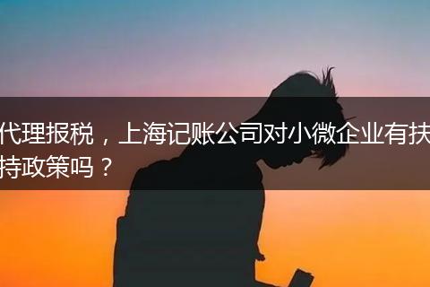 代理报税，上海记账公司对小微企业有扶持政策吗？