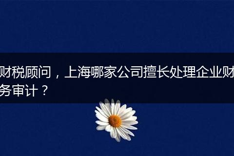 财税顾问，上海哪家公司擅长处理企业财务审计？