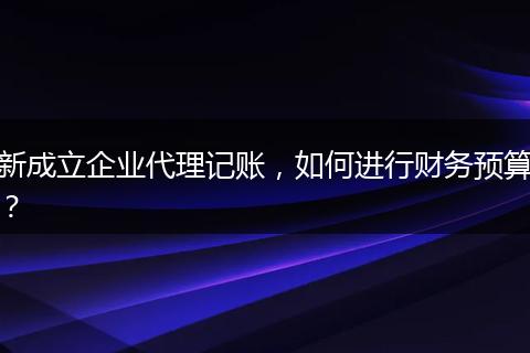 新成立企业代理记账，如何进行财务预算？