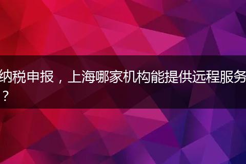 纳税申报，上海哪家机构能提供远程服务？