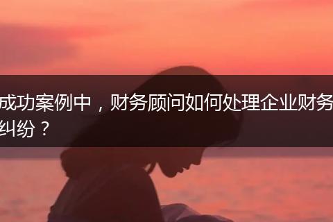 成功案例中，财务顾问如何处理企业财务纠纷？